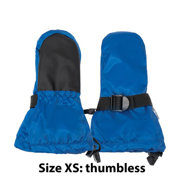 Waterproof Mittens in Blue